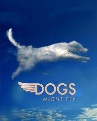 Собаки могут летать (2016) смотреть онлайн